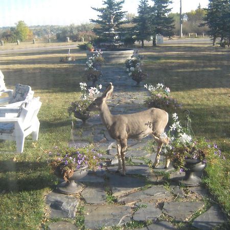 Wakamow Heights Bed And Breakfast Мус-Джо Екстер'єр фото
